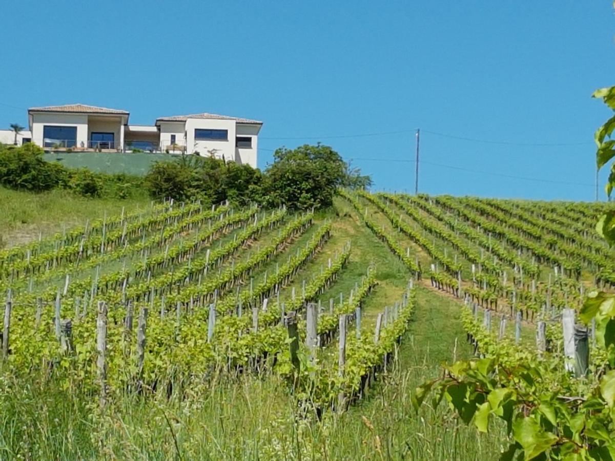Gite Las Colina Rabastens Exterior photo